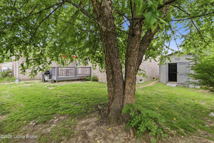 Listing Image 32
