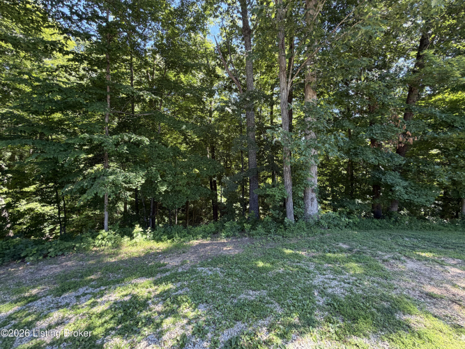 Listing Image 65