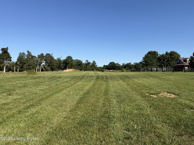 Listing Image 62