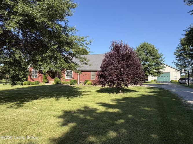 Listing Image 64