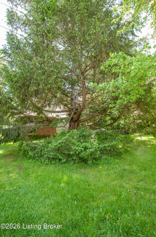 Listing Image 31