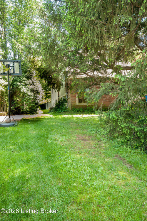 Listing Image 32