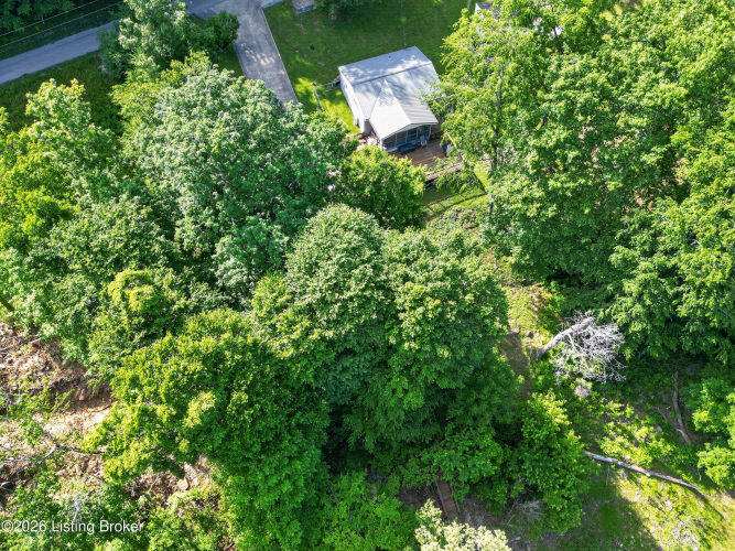 Listing Image 44