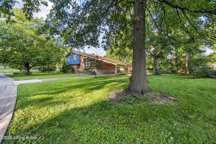 Listing Image 55