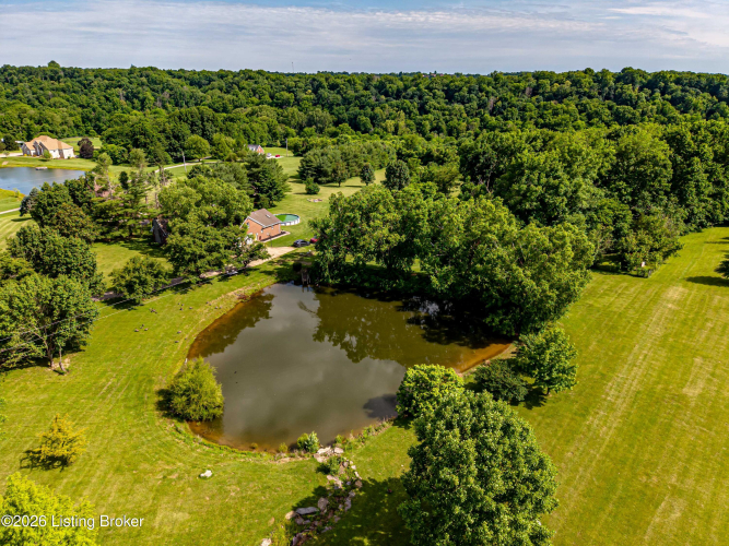 Listing Image 85
