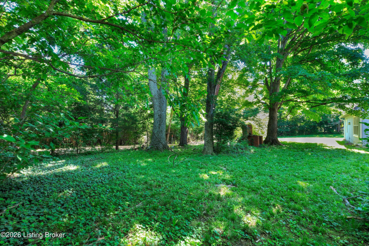 Listing Image 45