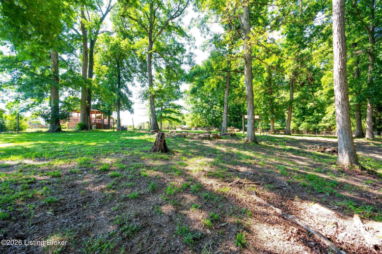 Listing Image 106
