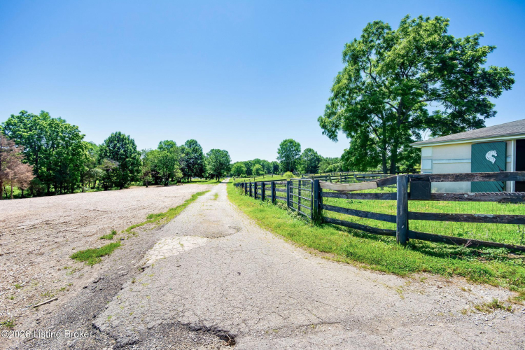 Listing Image 88