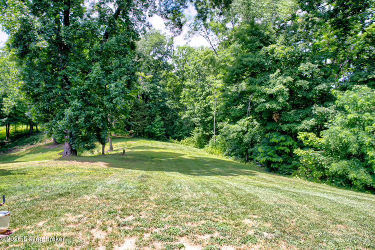 Listing Image 54