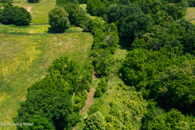 Listing Image 68
