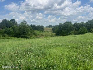 Listing Image 48