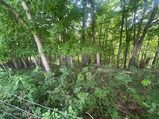 Listing Image 53