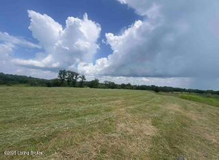 Listing Image 62