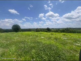 Listing Image 66