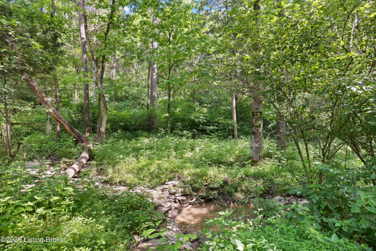 Listing Image 43