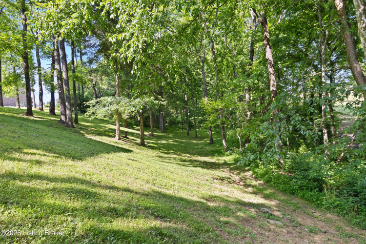 Listing Image 46