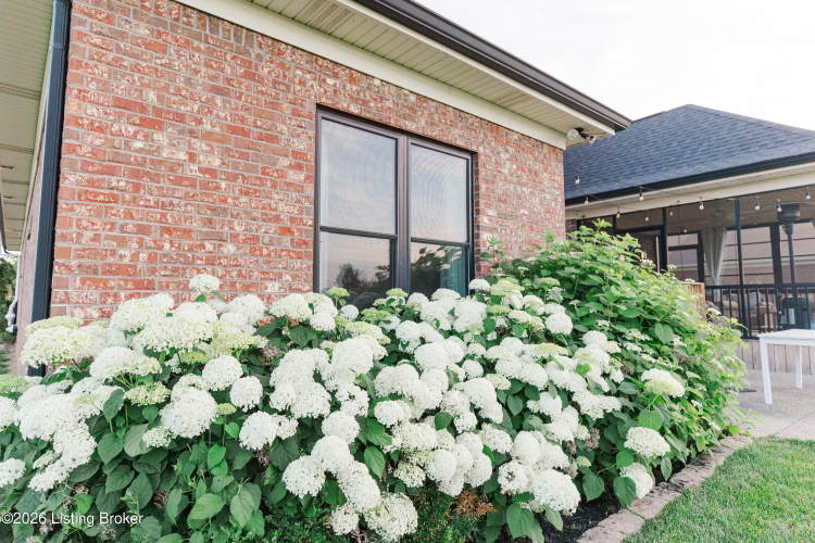 Listing Image 56