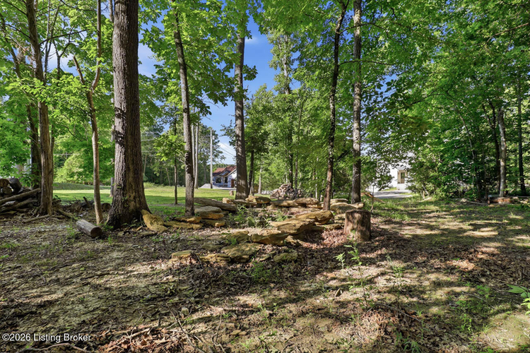 Listing Image 66