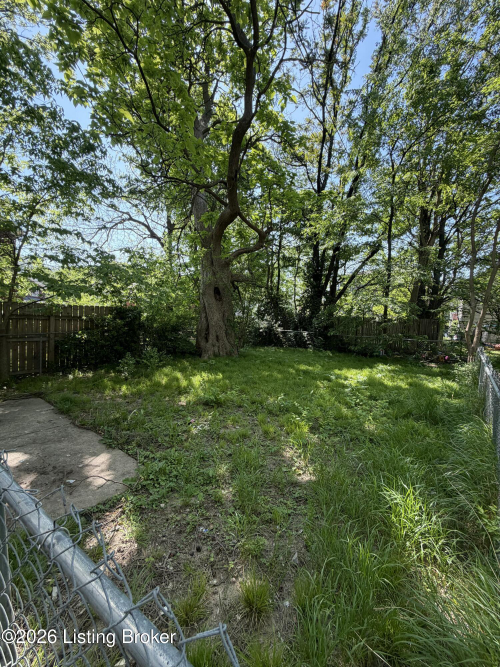 Listing Image 19