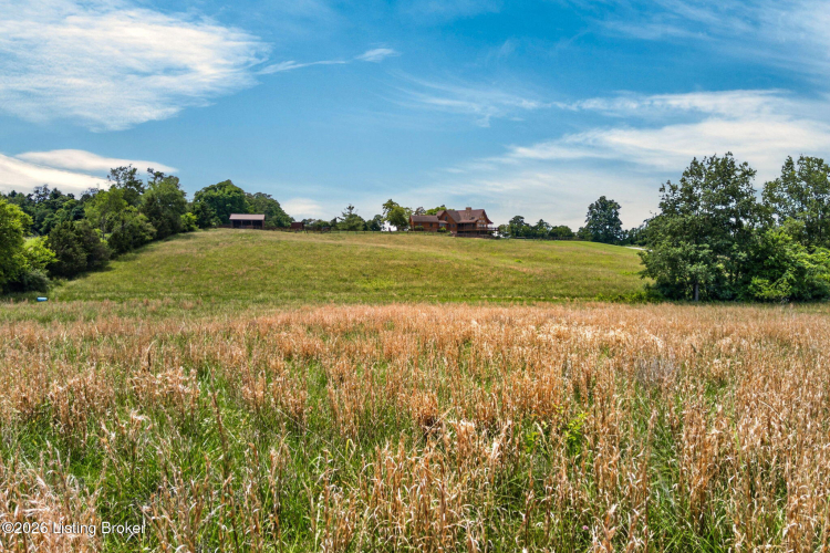 Listing Image 82