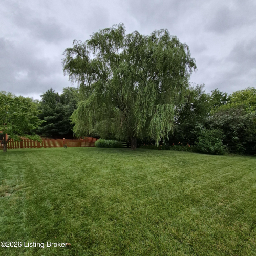Listing Image 62
