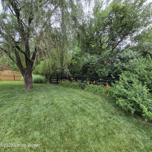 Listing Image 66