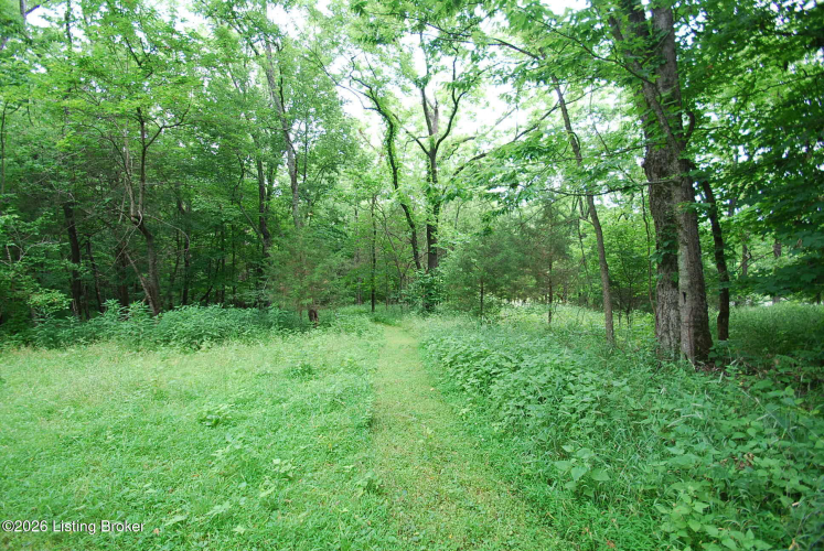 Listing Image 24
