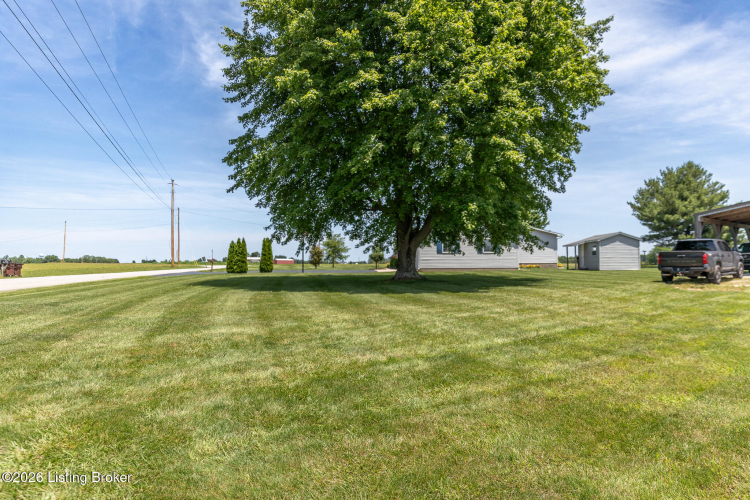 Listing Image 97