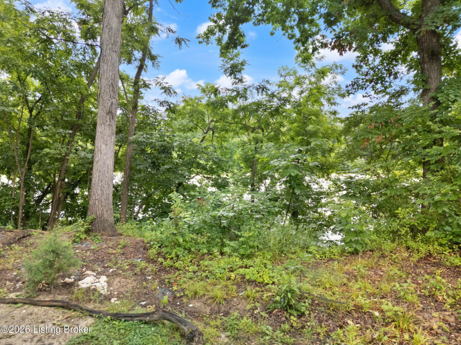 Listing Image 26