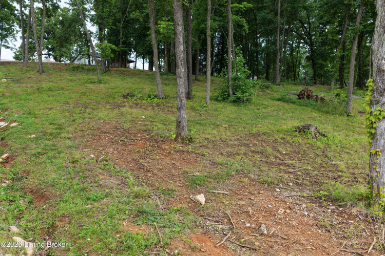 Listing Image 42