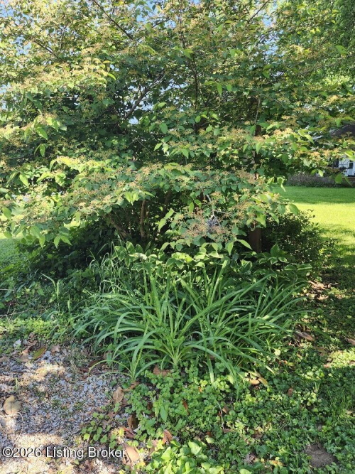 Listing Image 16