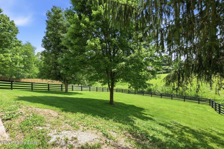 Listing Image 67