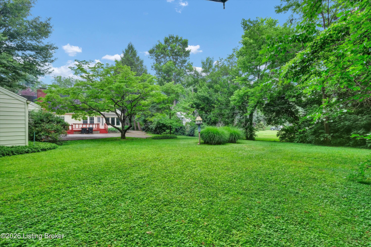 Listing Image 49