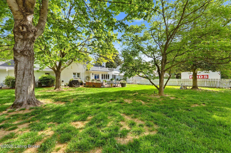 Listing Image 50