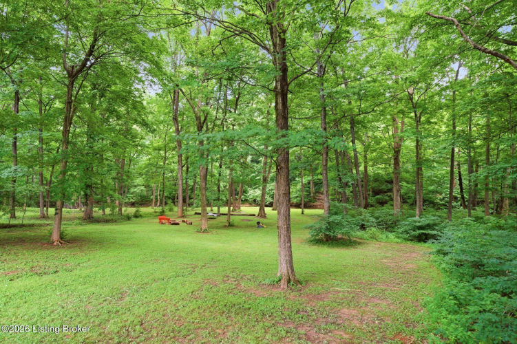 Listing Image 74