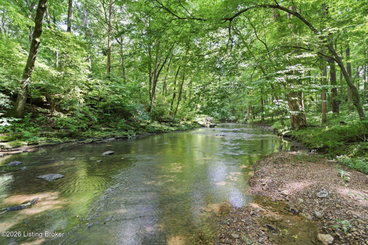Listing Image 82