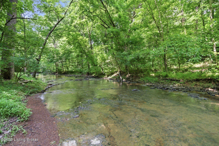 Listing Image 83