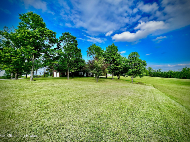 Listing Image 39