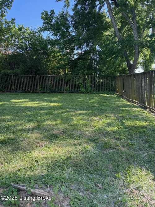 Listing Image 50