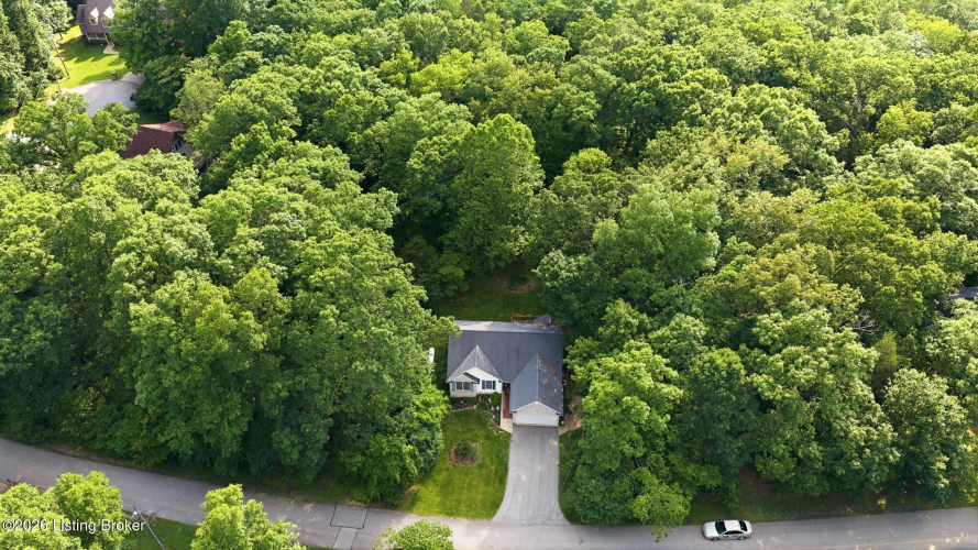 Listing Image 17