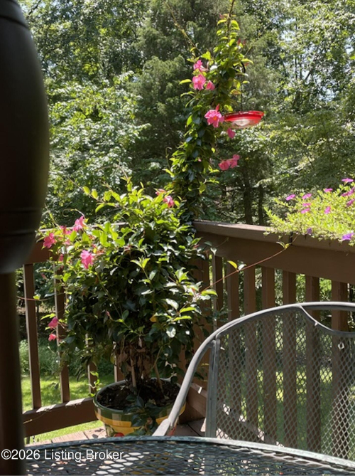 Listing Image 51