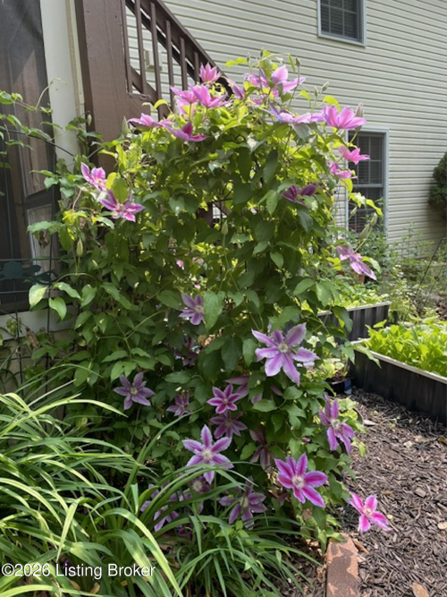 Listing Image 55