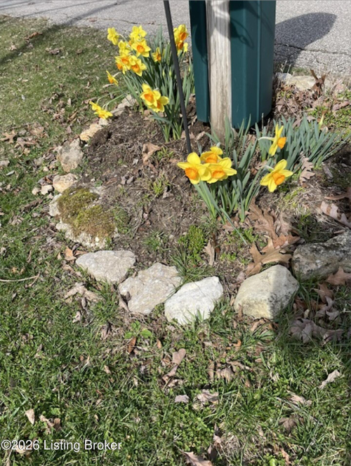 Listing Image 58