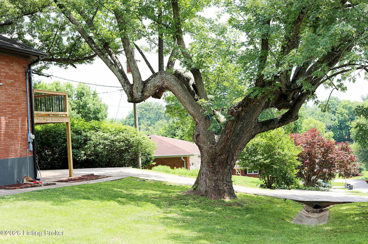 Listing Image 36