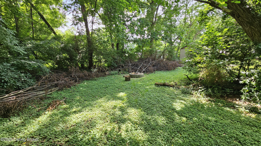 Listing Image 88
