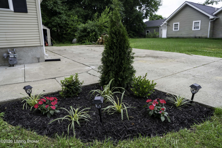 Listing Image 19