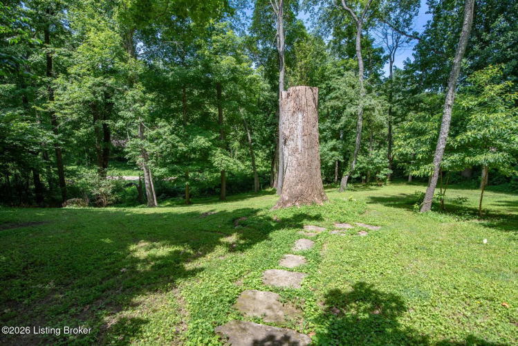 Listing Image 65