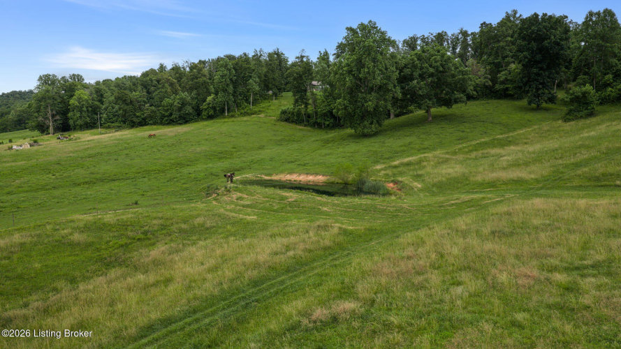 Listing Image 33