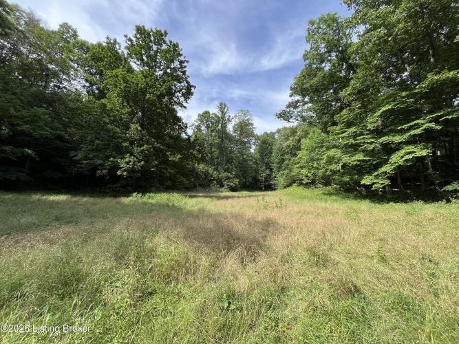 Listing Image 39