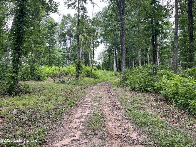 Listing Image 40